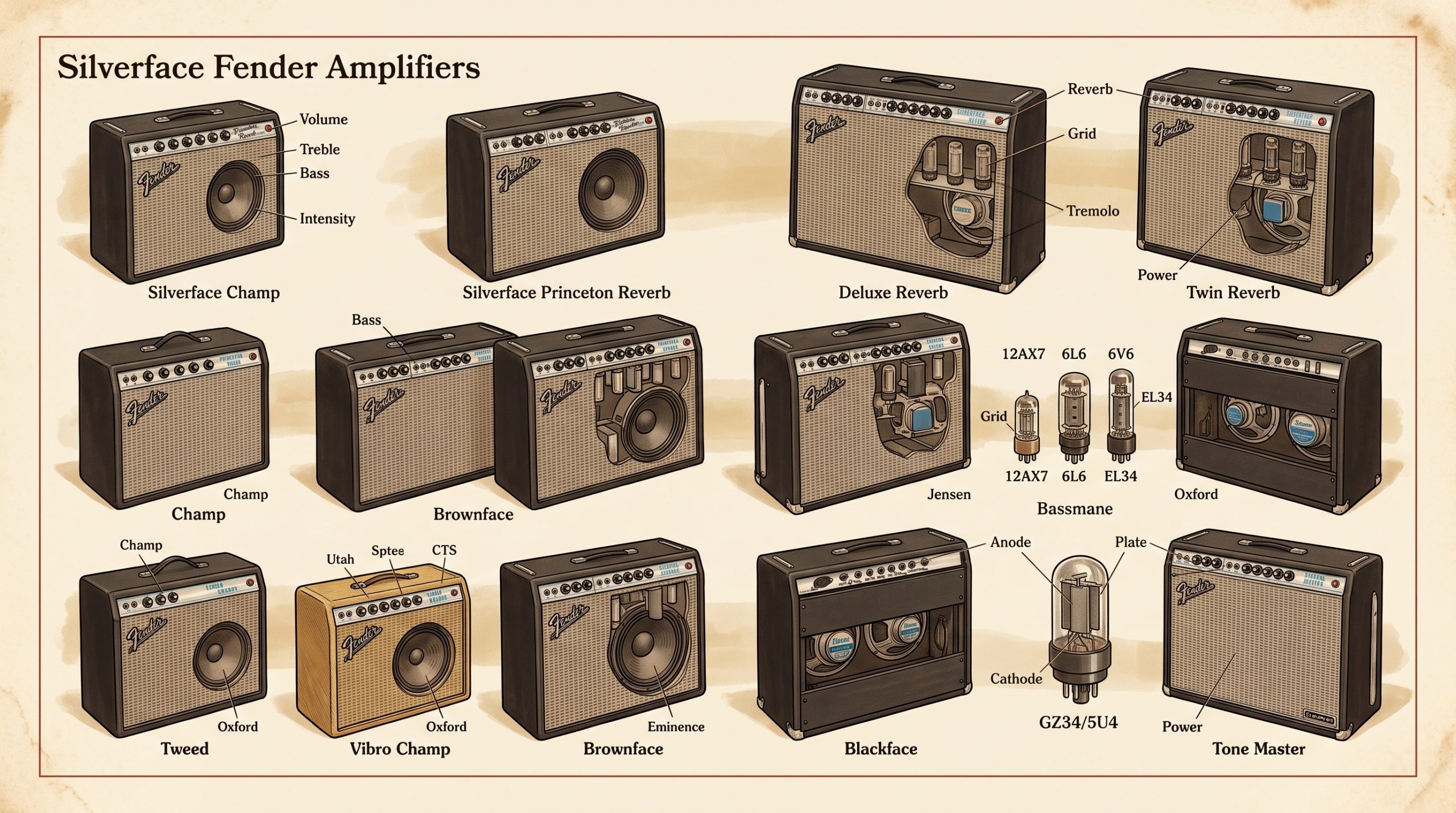 Illustrated Fender amps spanning tweed, brownface, blackface, silverface, and Tone Master with tube and speaker labels